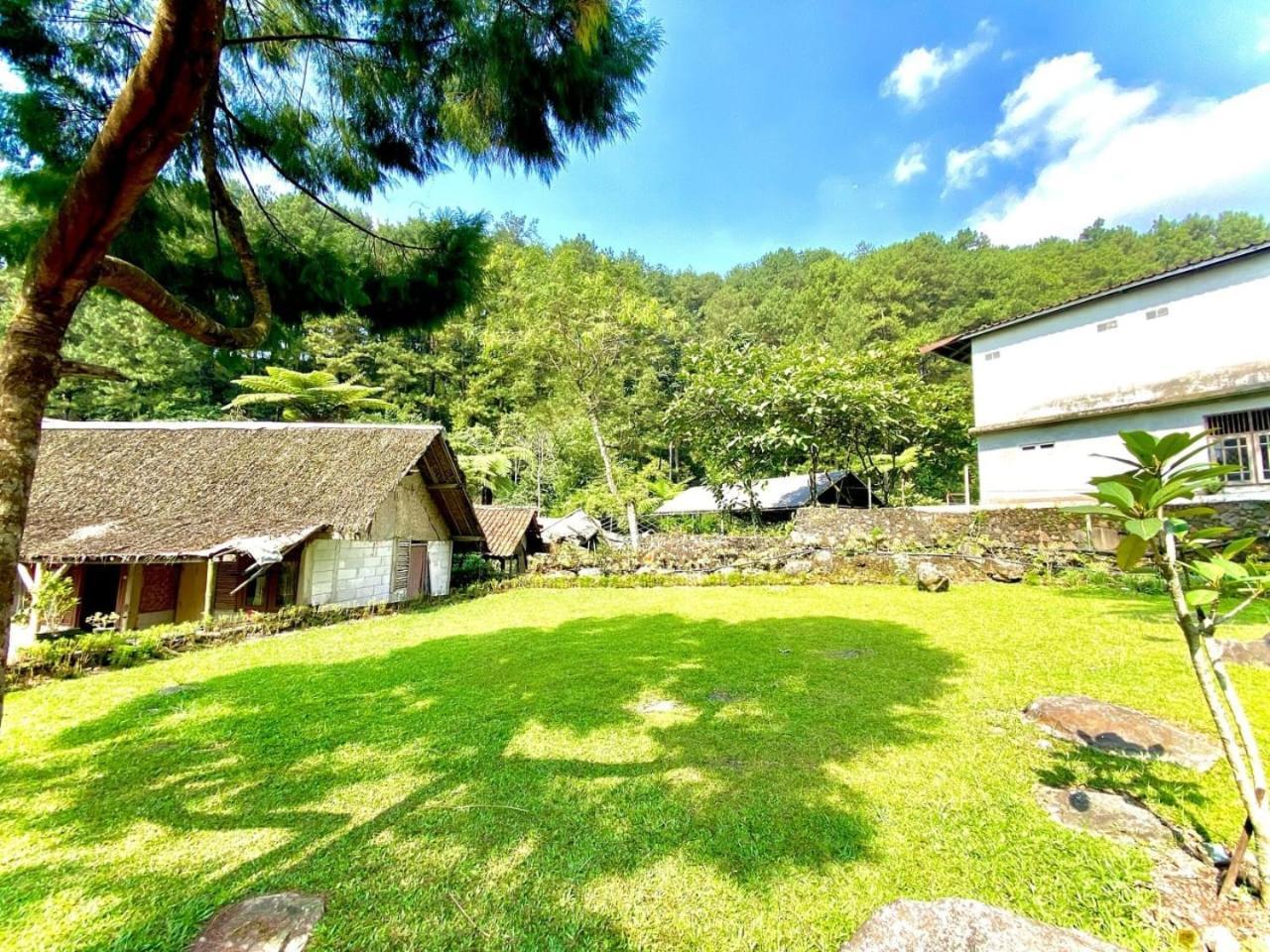 Lodge Saung Pakis